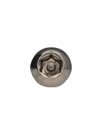 1 x Tornillo metales Inoxidable A2 Seguridad...