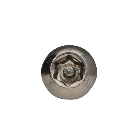 1 x Tornillo metales Inoxidable A2 Seguridad cabeza abombada TORX T30 con tetón M6X10+ Freno rosca