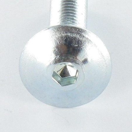 1 x Tornillo poelier cabeza redonda ancha M6X60 llave de 4 Acero cincado blanco