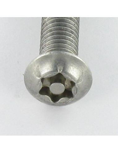 1 x Tornillo metales Inoxidable A2 Seguridad...