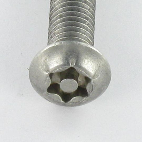 1 x Tornillo metales Inoxidable A2 Seguridad cabeza abombada TORX T20 con tetón M4X8