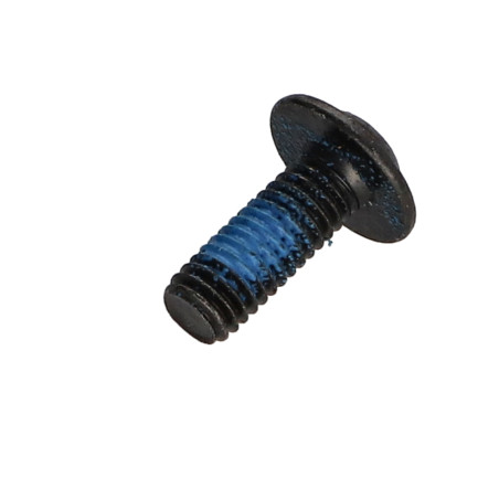 1 x Tornillo metales cabeza redonda ancha hexagonal hueco resalto reborde llave de 4 M6X16 clase 10.9 Acero