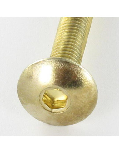 1 x Tornillo poelier cabeza redonda ancha M6X45...