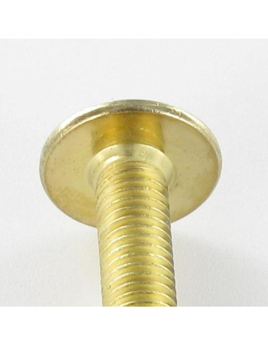 1 x Tornillo poelier cabeza redonda ancha M6X45...