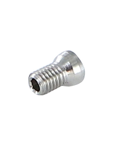 1 x Tornillo metales M5X5 llave de 2.5 7.1X10...