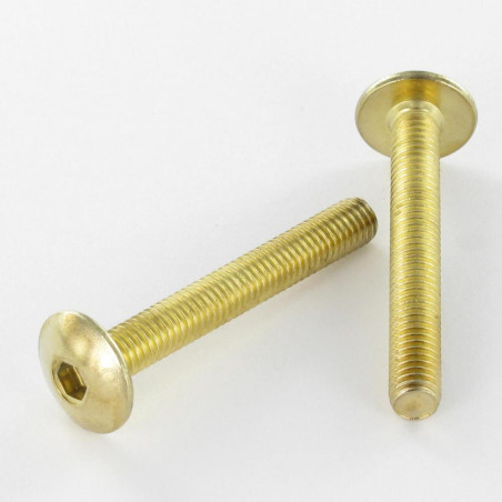 1 x Tornillo poelier cabeza redonda ancha M6X30 llave de 4 Acero latonado