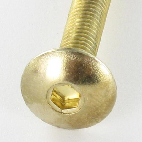 1 x Tornillo poelier cabeza redonda ancha M6X30 llave de 4 Acero latonado