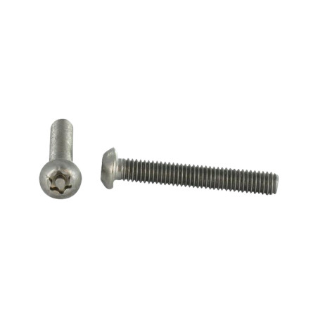 1 x Tornillo metales Inoxidable A2 Seguridad cabeza abombada TORX T30 con tetón M6X60