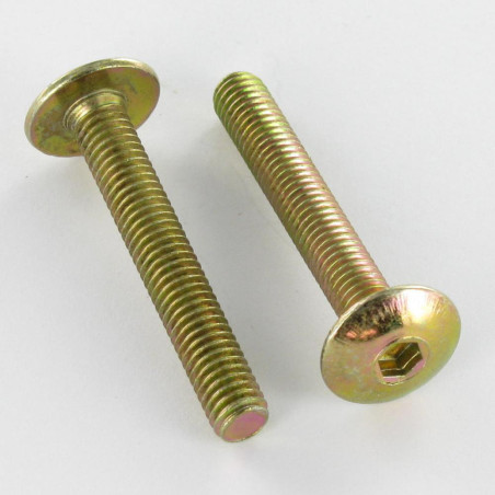1 x Tornillo poelier cabeza redonda ancha M8X50 llave de 5 Bicromato