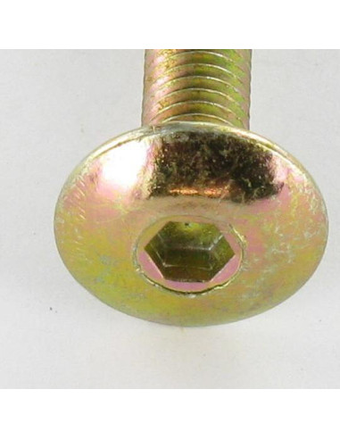 1 x Tornillo poelier cabeza redonda ancha M8X50...