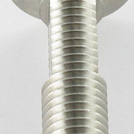 1 x Tornillo metales cabeza plano HORIZONTALMENTE 20X50 roscado en 43 M10 Inox