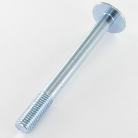 1 x Tornillo metales poelier cabeza redonda ancha sin EMPR 12X120 roscado en 30 Clase 8.8 Acero cincado blanco