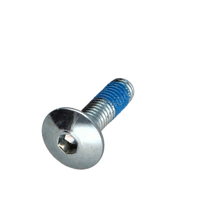 1 x Tornillo poelier cabeza redonda ancha M6X22 llave de 4 Acero cincado blanco Freno rosca