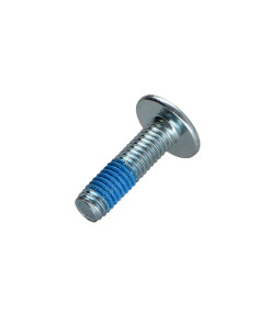 Tornillo poelier cabeza redonda ancha M6X22 llave de 4... 2
