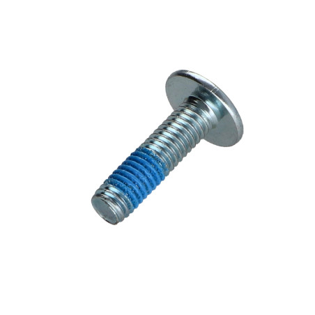 1 x Tornillo poelier cabeza redonda ancha M6X22 llave de 4 Acero cincado blanco Freno rosca
