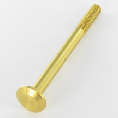 1 x Tornillo metales Latón cabeza cilíndrica Ancha 20X104 roscado en 30 M8