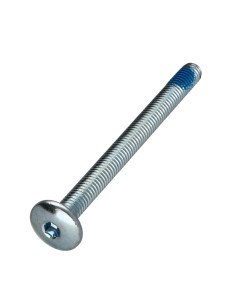 Tornillo poelier cabeza redonda ancha M6X70 llave de 4...