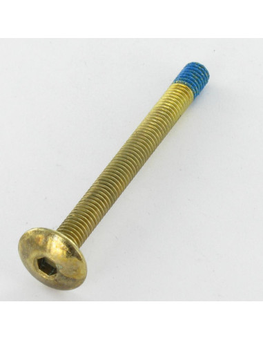 1 x Tornillo poelier cabeza redonda ancha M6X65...