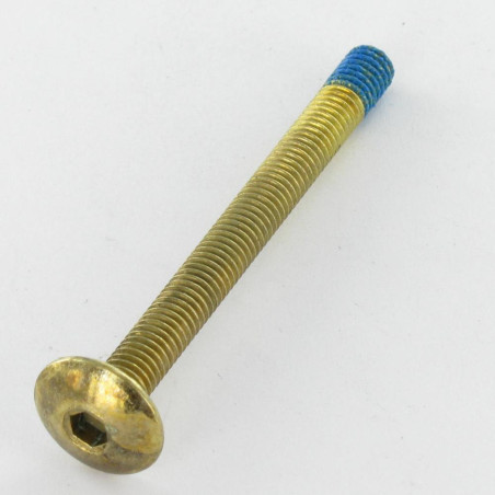 1 x Tornillo poelier cabeza redonda ancha M6X65 llave de 4 Acero latonado Freno rosca