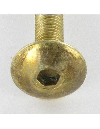 1 x Tornillo poelier cabeza redonda ancha M6X65...
