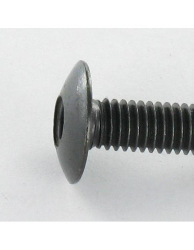 1 x Tornillo poelier cabeza redonda ancha M6X20...