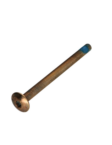 1 x Tornillo poelier cabeza redonda ancha M6X80...