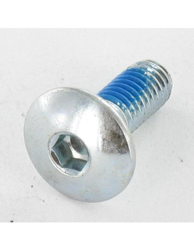 1 x Tornillo poelier cabeza redonda ancha M6X16...