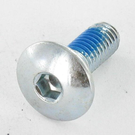 1 x Tornillo poelier cabeza redonda ancha M6X16 llave de 4 Acero cincado blanco Freno rosca