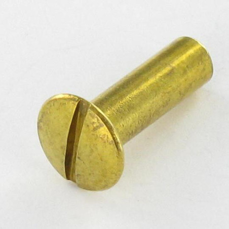 1 x Tuerca encuadernador cabeza fresada abombada ranura M4X13 5.4X19 Latón