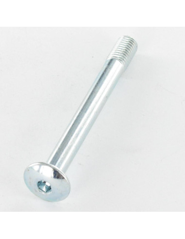 1 x Tornillo poelier cabeza redonda ancha llave...
