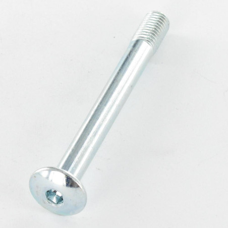 1 x Tornillo poelier cabeza redonda ancha llave de 4 M7X65 roscado en 12 paso de 100 Acero cincado blanco