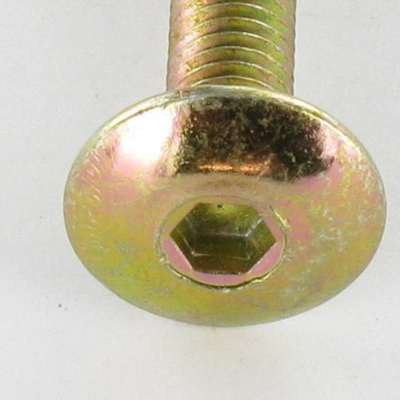1 x Tornillo poelier cabeza redonda ancha M6X75 llave de 4 Bicromato