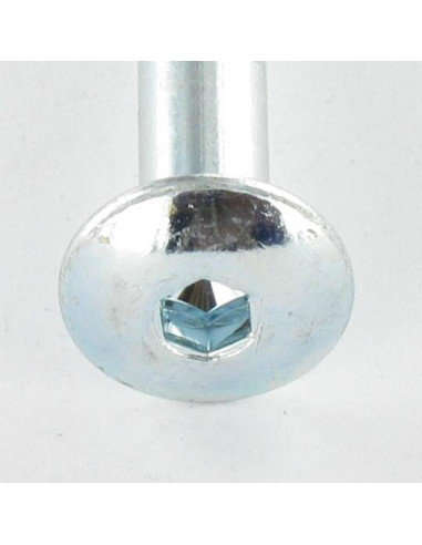 1 x Tornillo poelier cabeza redonda ancha llave...