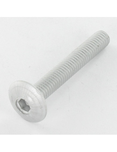 1 x Tornillo poelier cabeza redonda ancha M6X35...