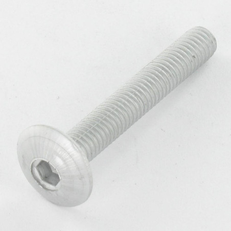 1 x Tornillo poelier cabeza redonda ancha M6X35 roscado en 9 llave de 4 Acero cincado blanco