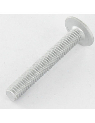 1 x Tornillo poelier cabeza redonda ancha M6X35...