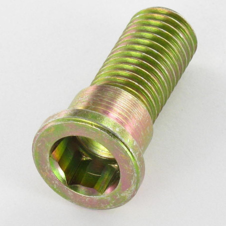 1 x Tornillo HOMBRO cabeza plana llave de 10 18X37 M12X25 Clase 8.8 Bicromato