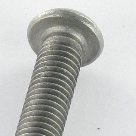 1 x Tornillo metales Inoxidable A2 Seguridad cabeza abombada TORX T20 con tetón M4X40