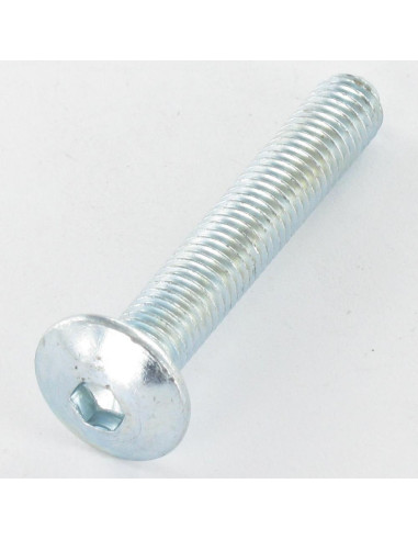 1 x Tornillo poelier cabeza redonda ancha M8X55...