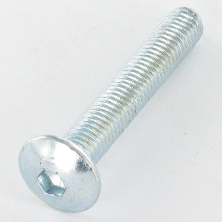 1 x Tornillo poelier cabeza redonda ancha M8X55 llave de 5 Acero cincado blanco punta guía