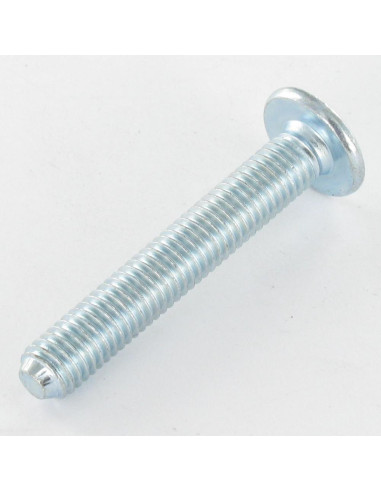 1 x Tornillo poelier cabeza redonda ancha M8X55...