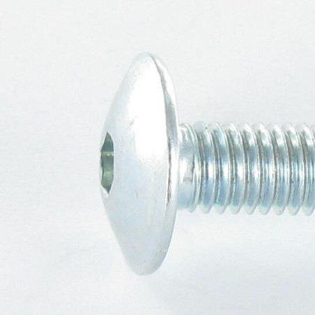 1 x Tornillo poelier cabeza redonda ancha M6X46 llave de 4 Acero cincado blanco