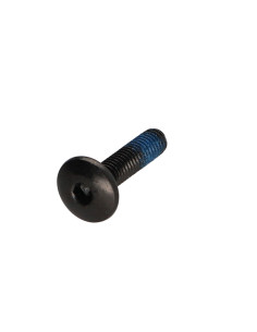 Tornillo poelier cabeza redonda ancha M6X25 llave de 4...