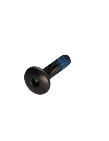 1 x Tornillo poelier cabeza redonda ancha M6X25...