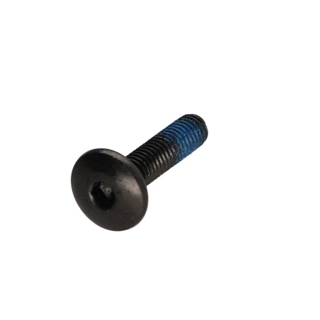 1 x Tornillo poelier cabeza redonda ancha M6X25 llave de 4 Acero cincado negro Freno rosca