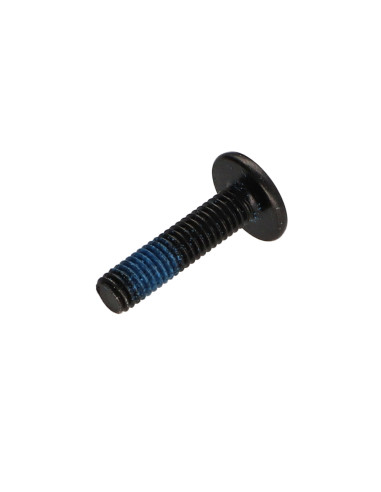 1 x Tornillo poelier cabeza redonda ancha M6X25...