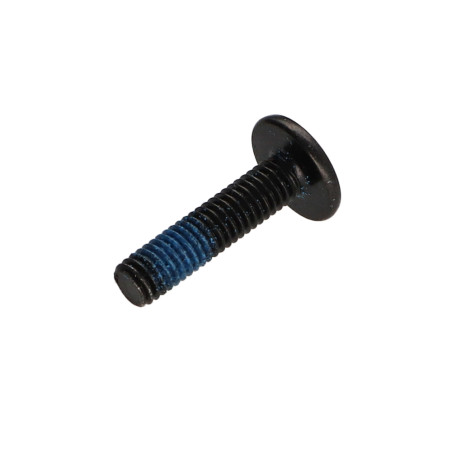 1 x Tornillo poelier cabeza redonda ancha M6X25 llave de 4 Acero cincado negro Freno rosca