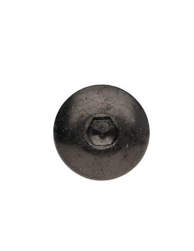 1 x Tornillo poelier cabeza redonda ancha M6X25...
