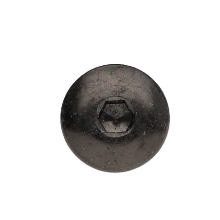 1 x Tornillo poelier cabeza redonda ancha M6X25 llave de 4 Acero cincado negro Freno rosca