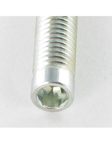 1 x Tornillo metales Acero cincado blanco sin...